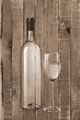 moscatel